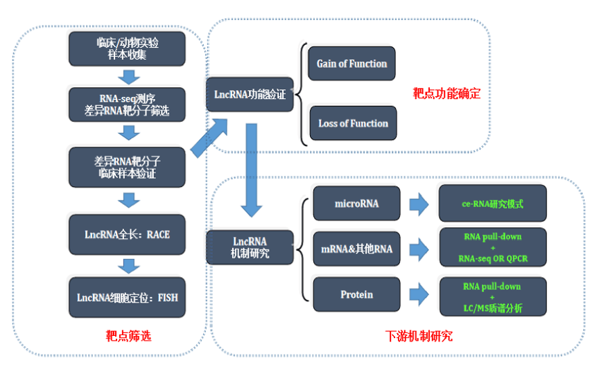 LncRNA研究思路导图