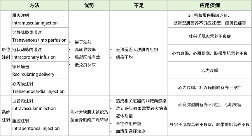 肌肉靶向性AAV递送方式