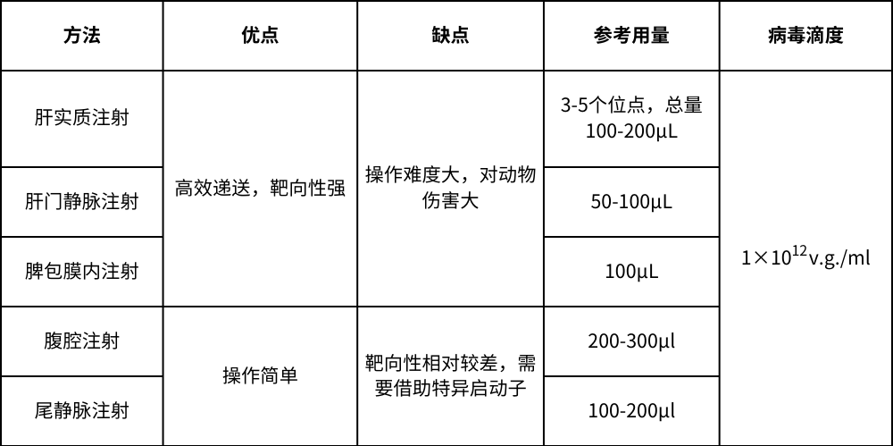 AAV感染肝脏注射方式