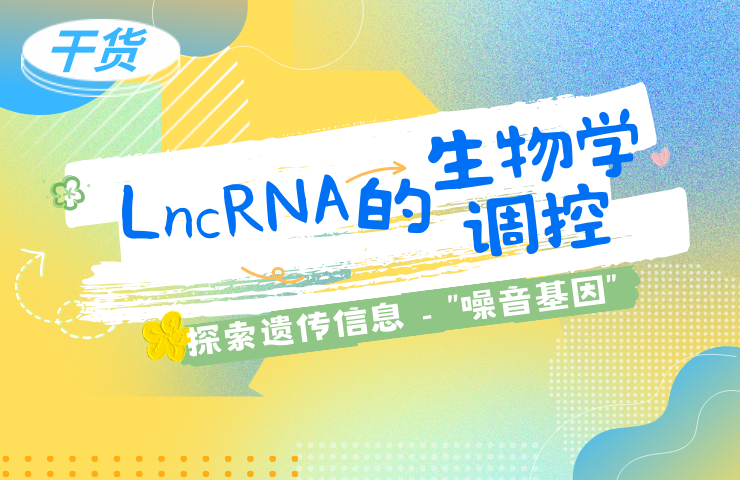 LncRNA的生物学调控