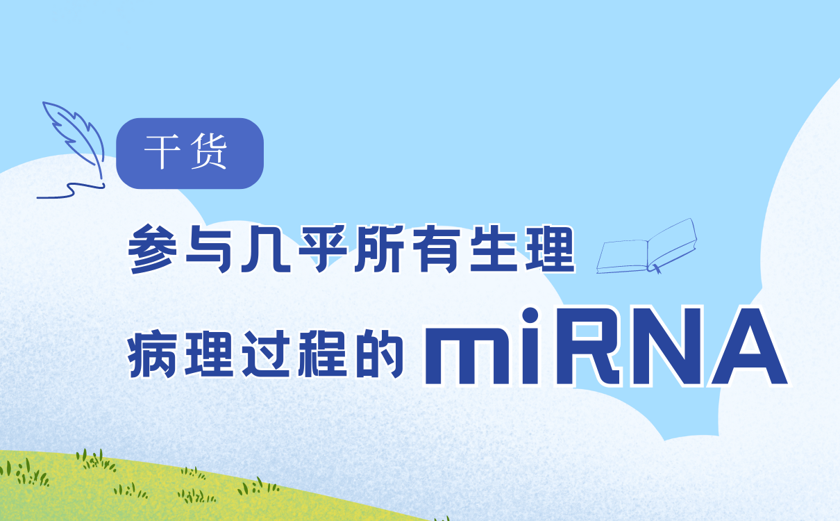 非编码RNA-miRNA