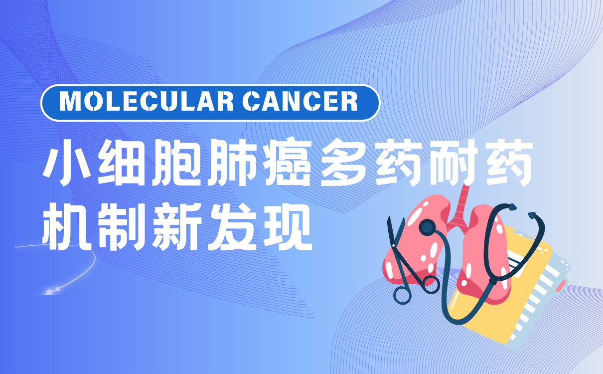 小细胞肺癌多药耐药机制新发现