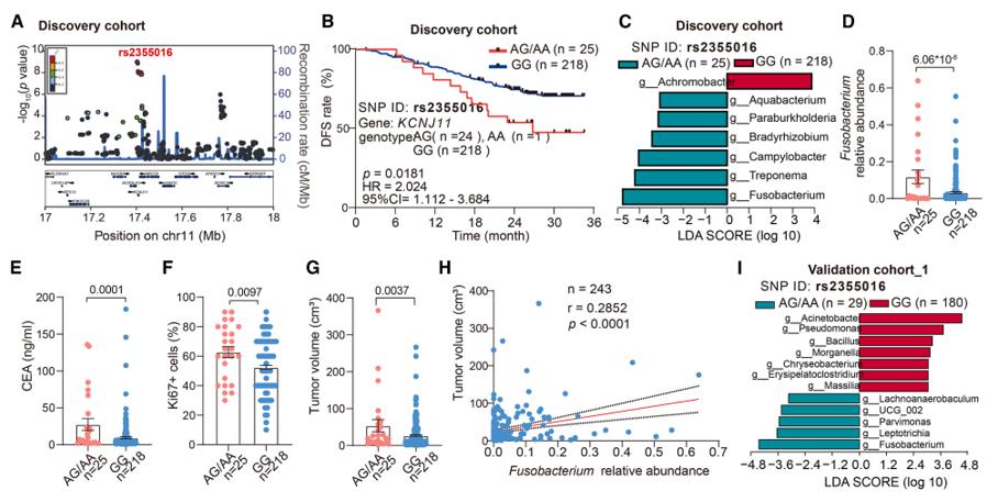 CRC患者遗传变异与临床特征的相关性