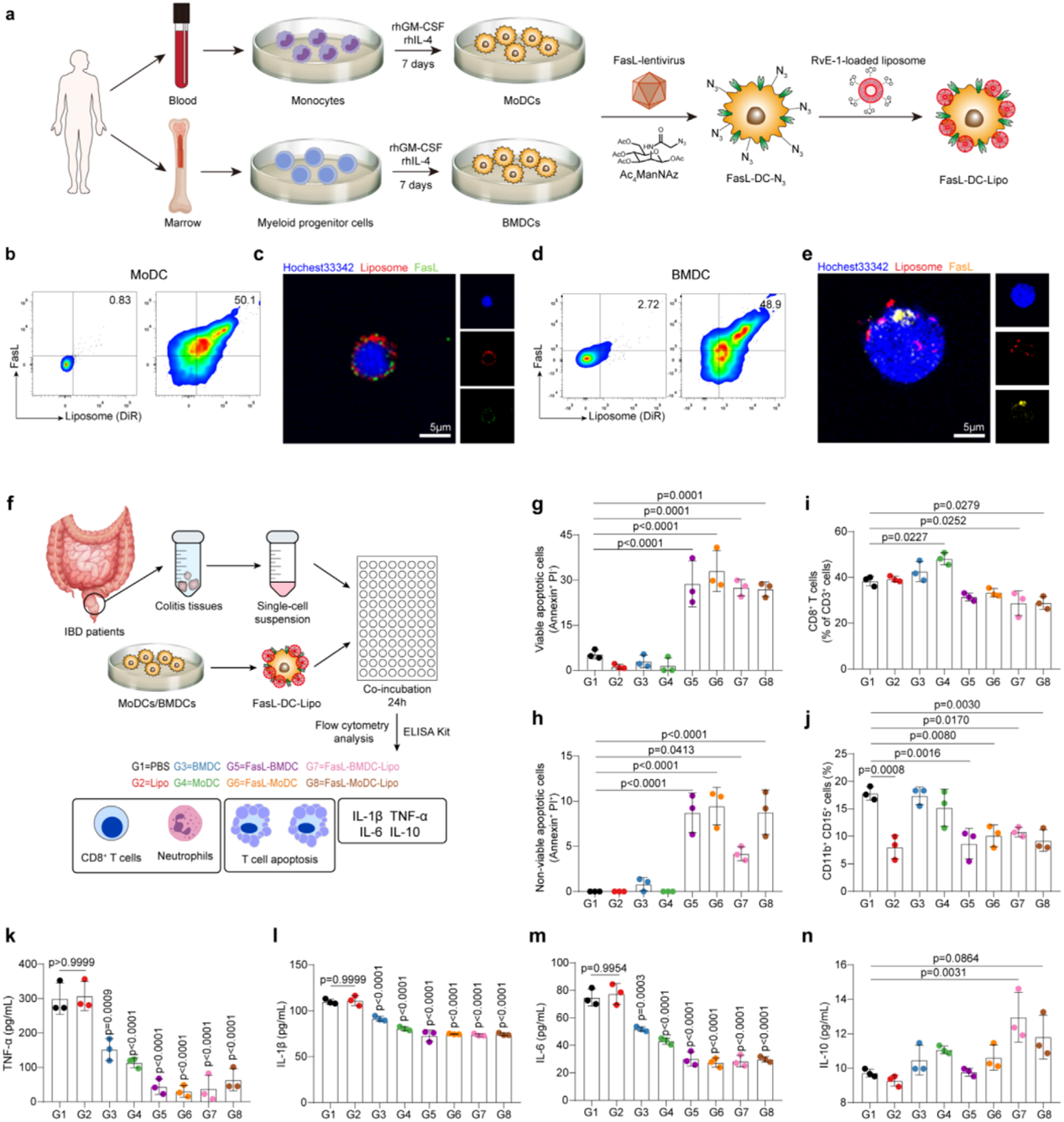 基于人类PBMCs和BMDCs的FasL-DC-Lipo的制备及表征