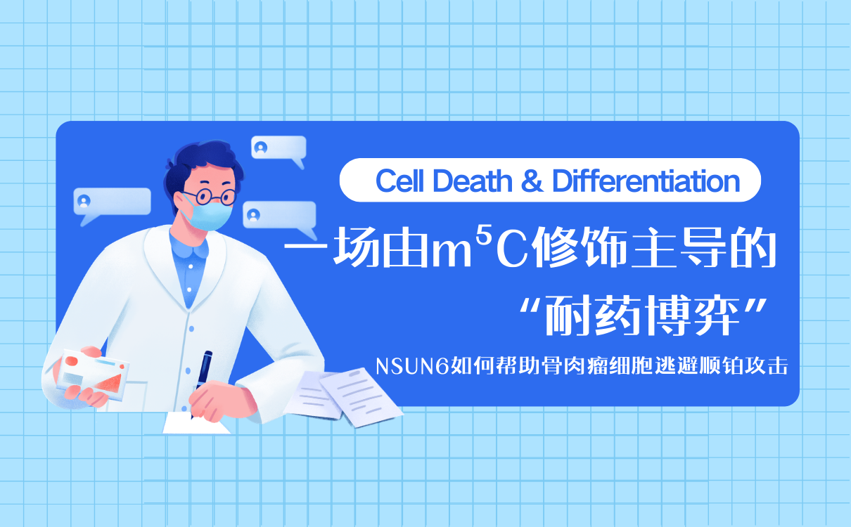 NSUN6如何帮助骨肉瘤细胞逃避顺铂攻击