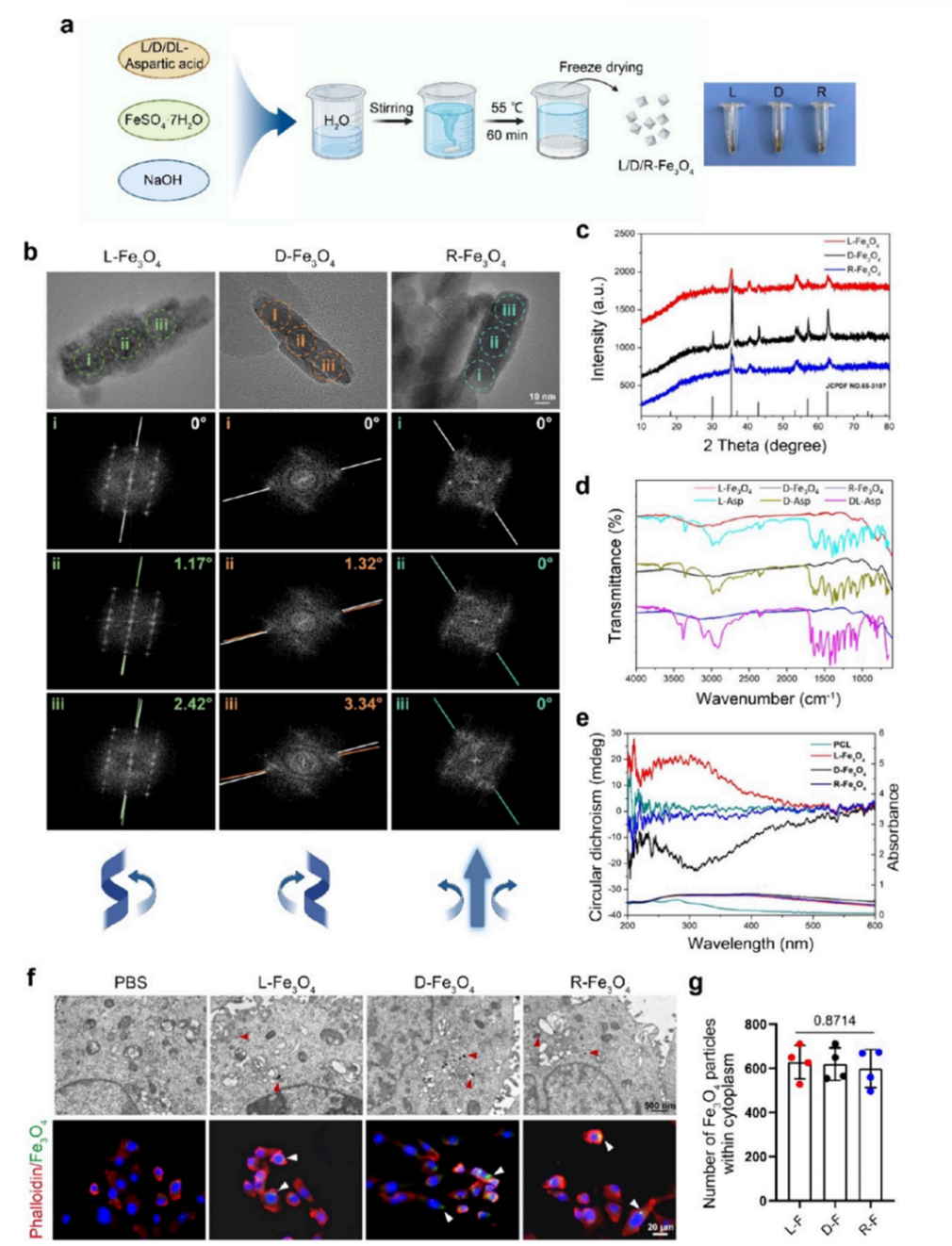 手性Fe3O4对映体的制备与表征