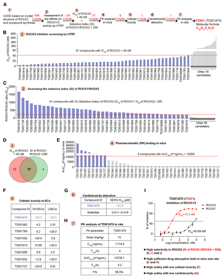具有最佳药代动力学特性和安全性的ROCK2选择性抑制剂TDI01的鉴定