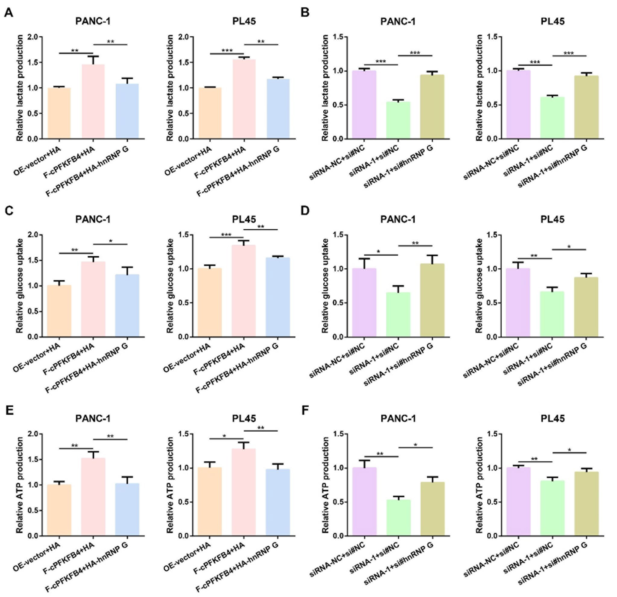 cPFKFB4通过hnRNP G调控PC细胞的糖酵解