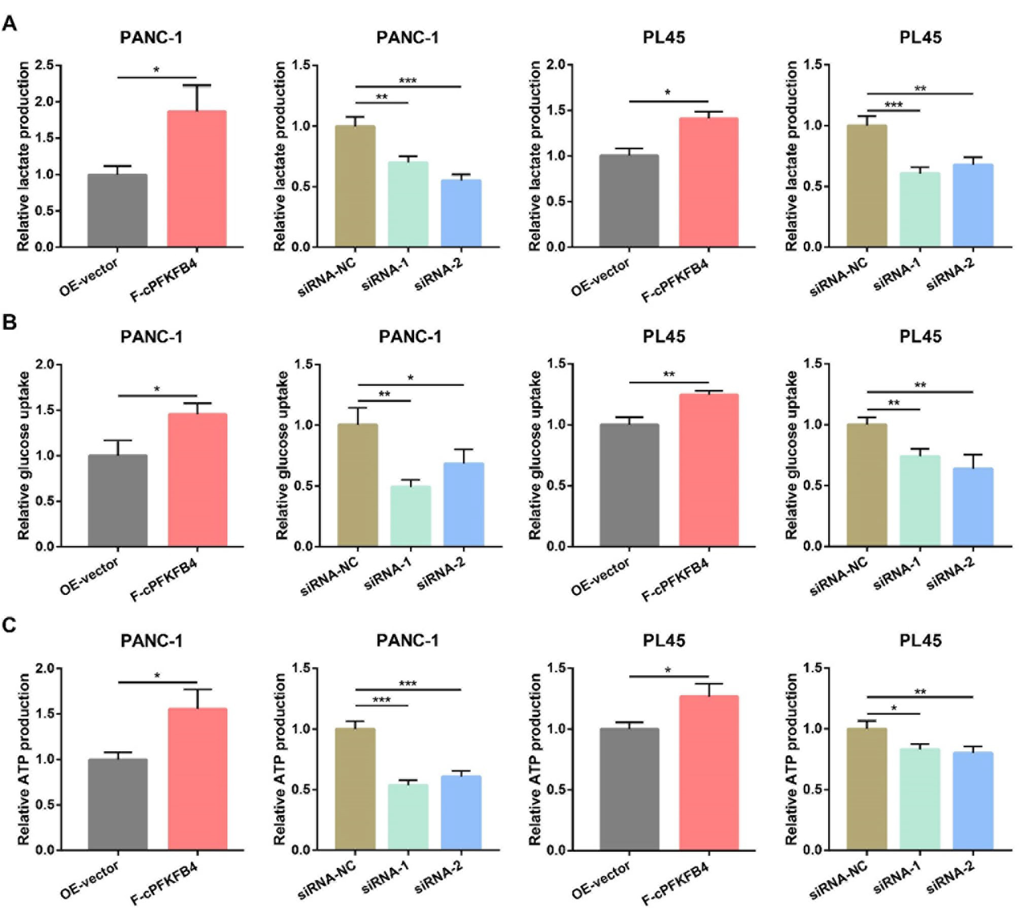 cPFKFB4在缺氧条件下增强PC细胞的糖酵解