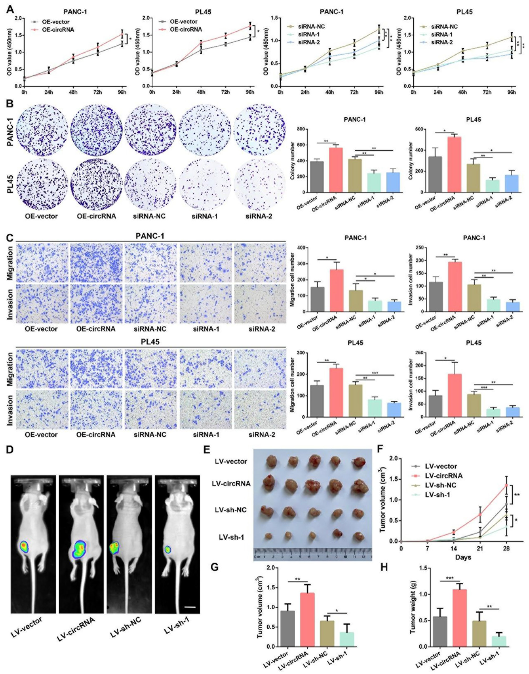 hsa_circ_0065394在体内外均促进缺氧条件下PC的进展
