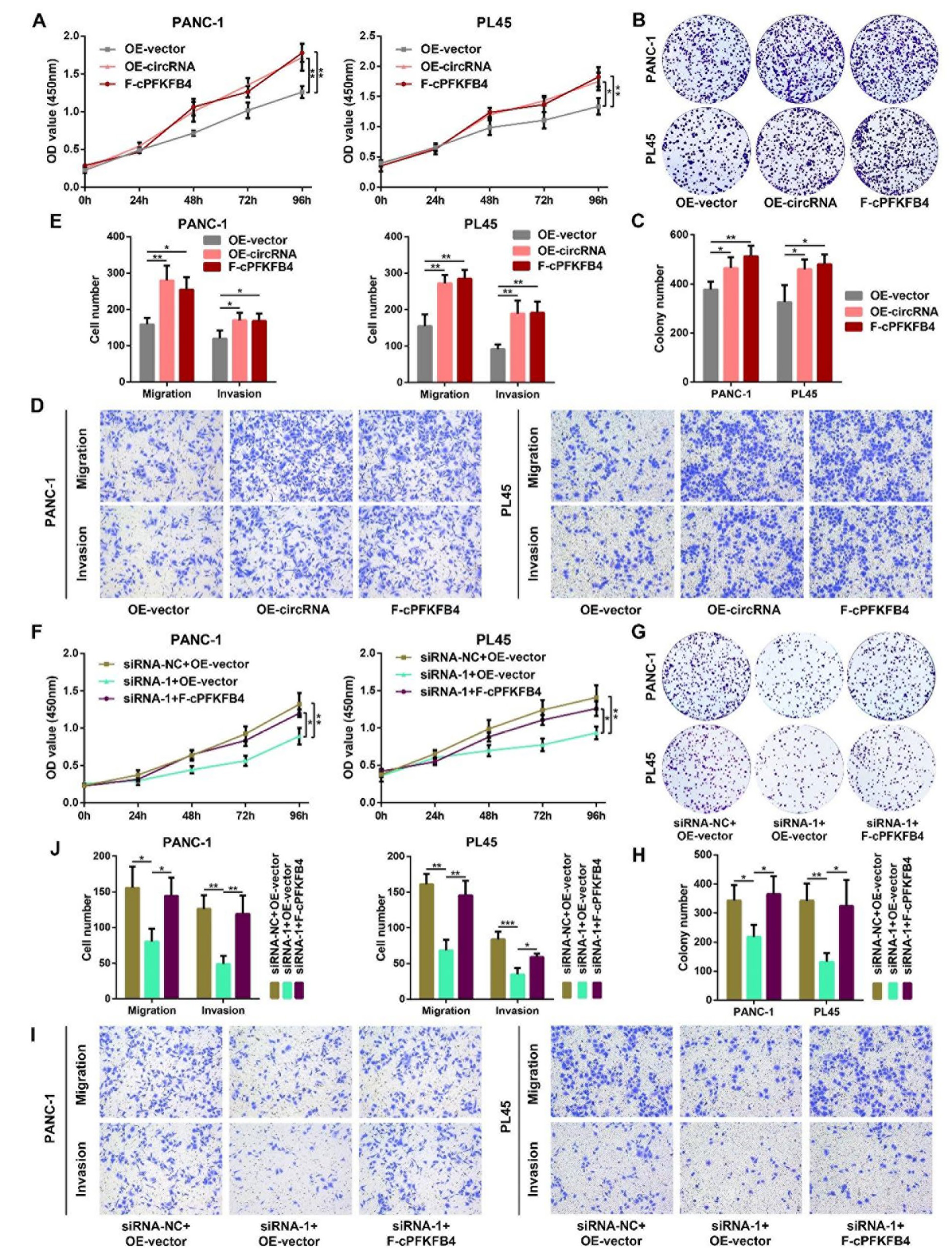 cPFKFB4 在PC中的生物学功能</p><p>cPFKFB4特异性结合hnRNP G