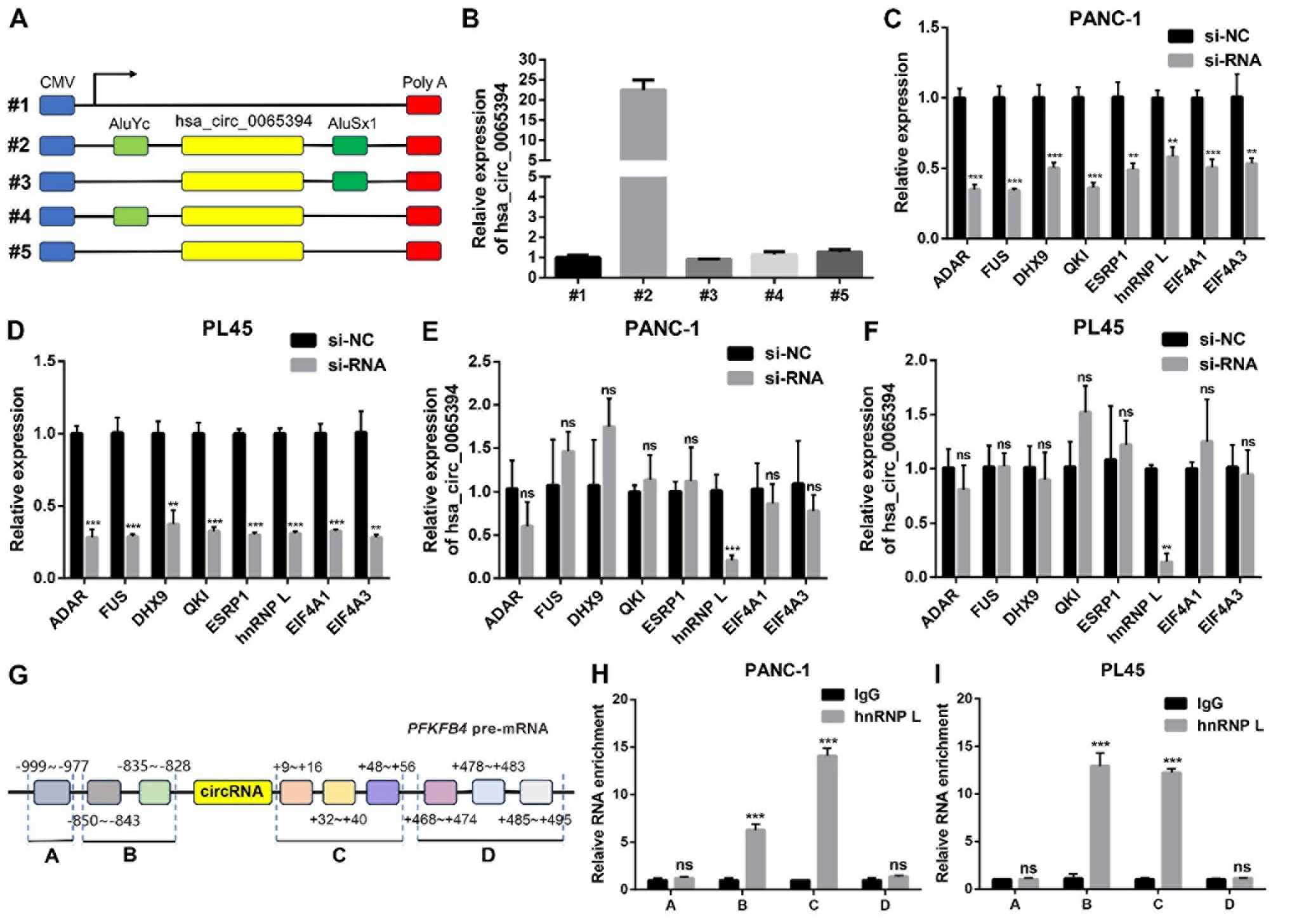 hsa_circ_0065394的生物发生