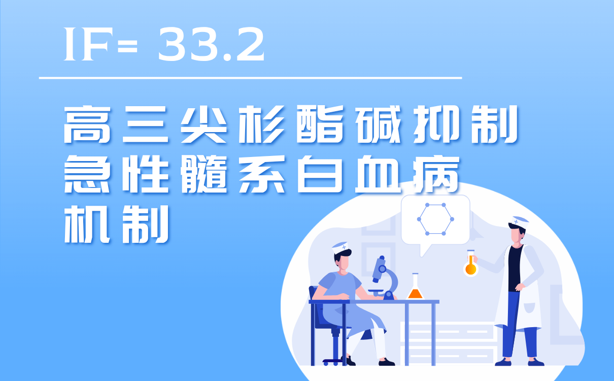 高三尖杉酯碱抑制急性髓系白血病机制