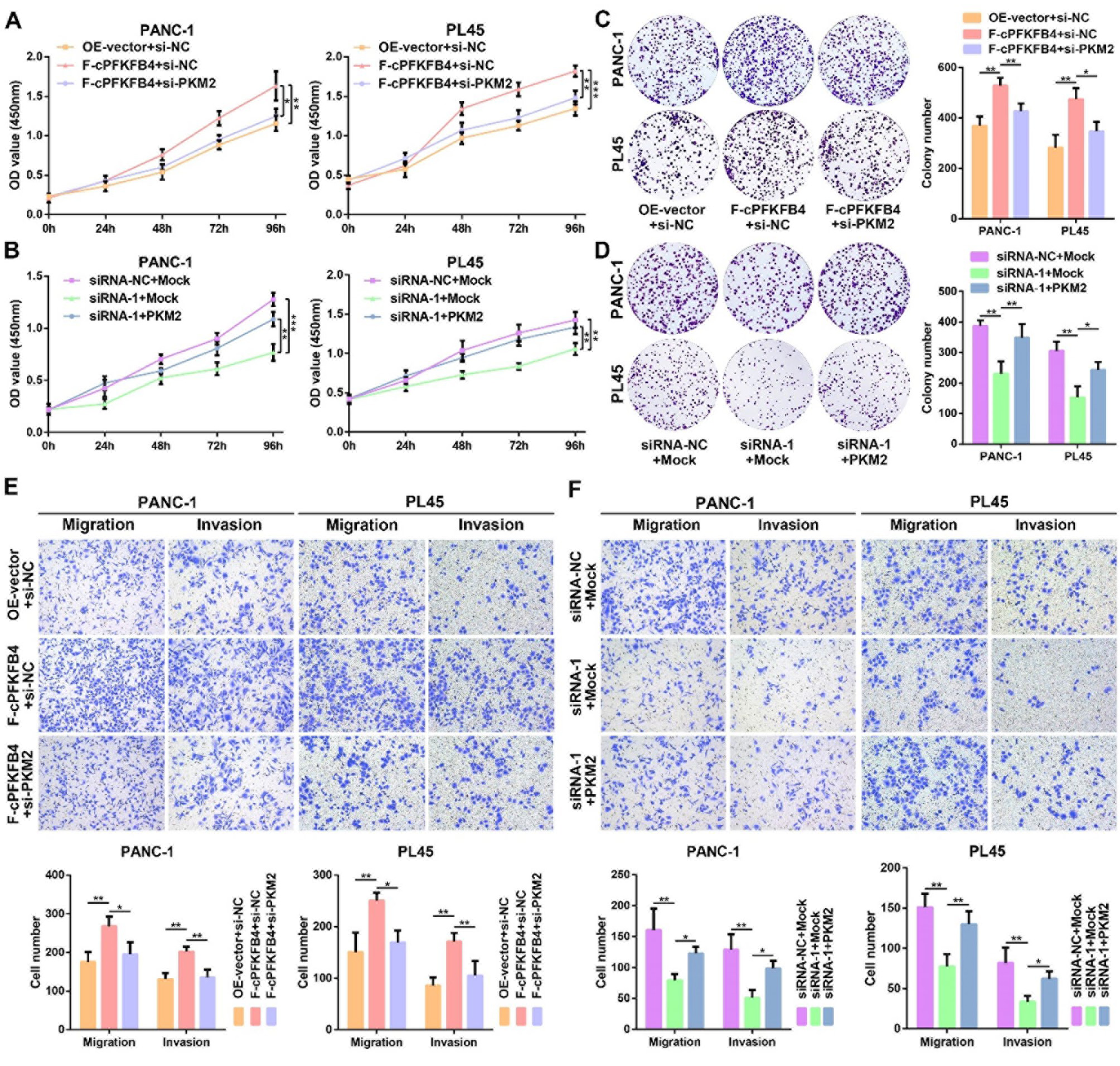 cPFKFB4在缺氧条件下增强PKM2诱导的PC细胞侵袭性表型