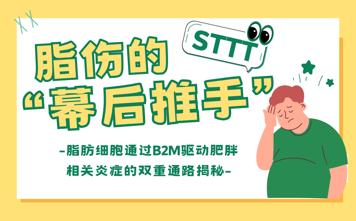 脂伤的“幕后推手”