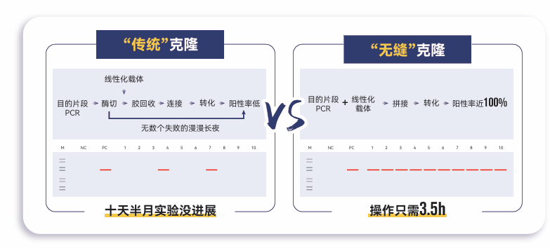 无缝克隆试剂盒产品优势图